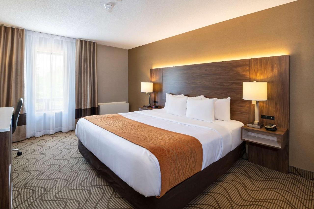 Comfort Inn Lakeshore Север Бэй Экстерьер фото