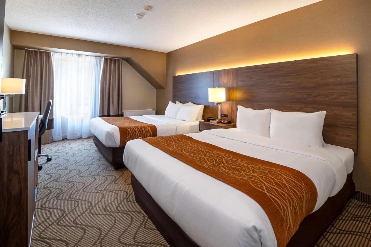 Comfort Inn Lakeshore Север Бэй Экстерьер фото