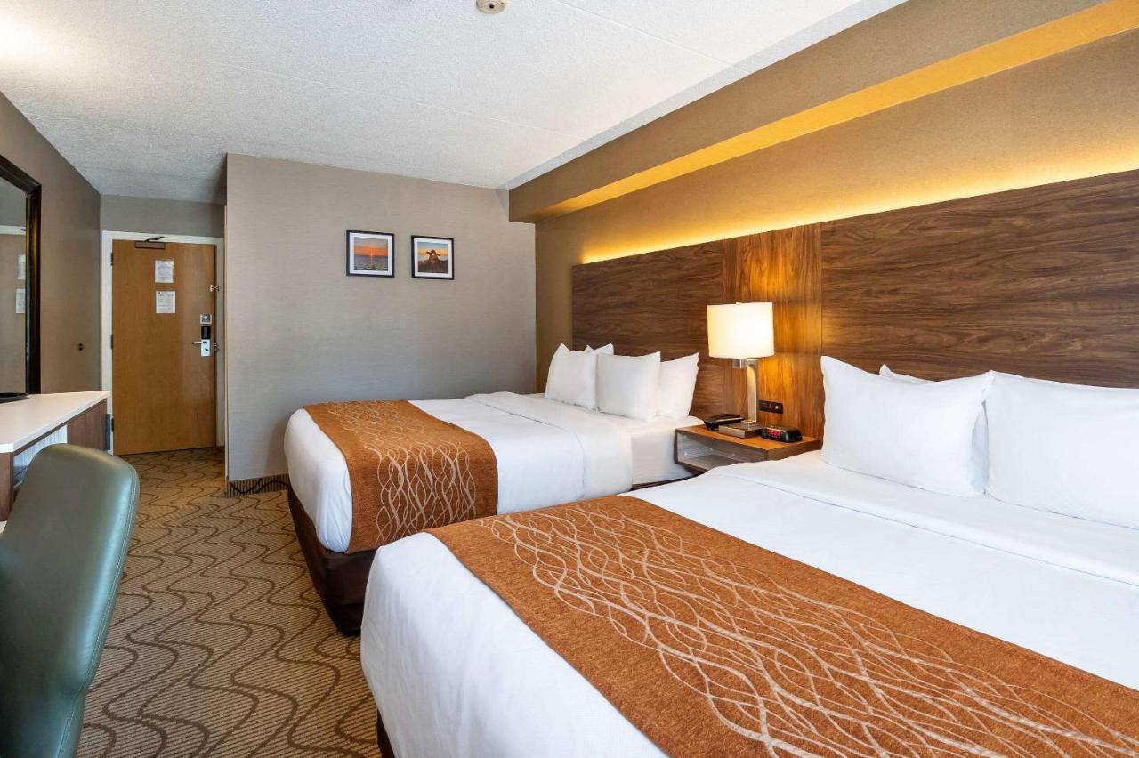 Comfort Inn Lakeshore Север Бэй Экстерьер фото