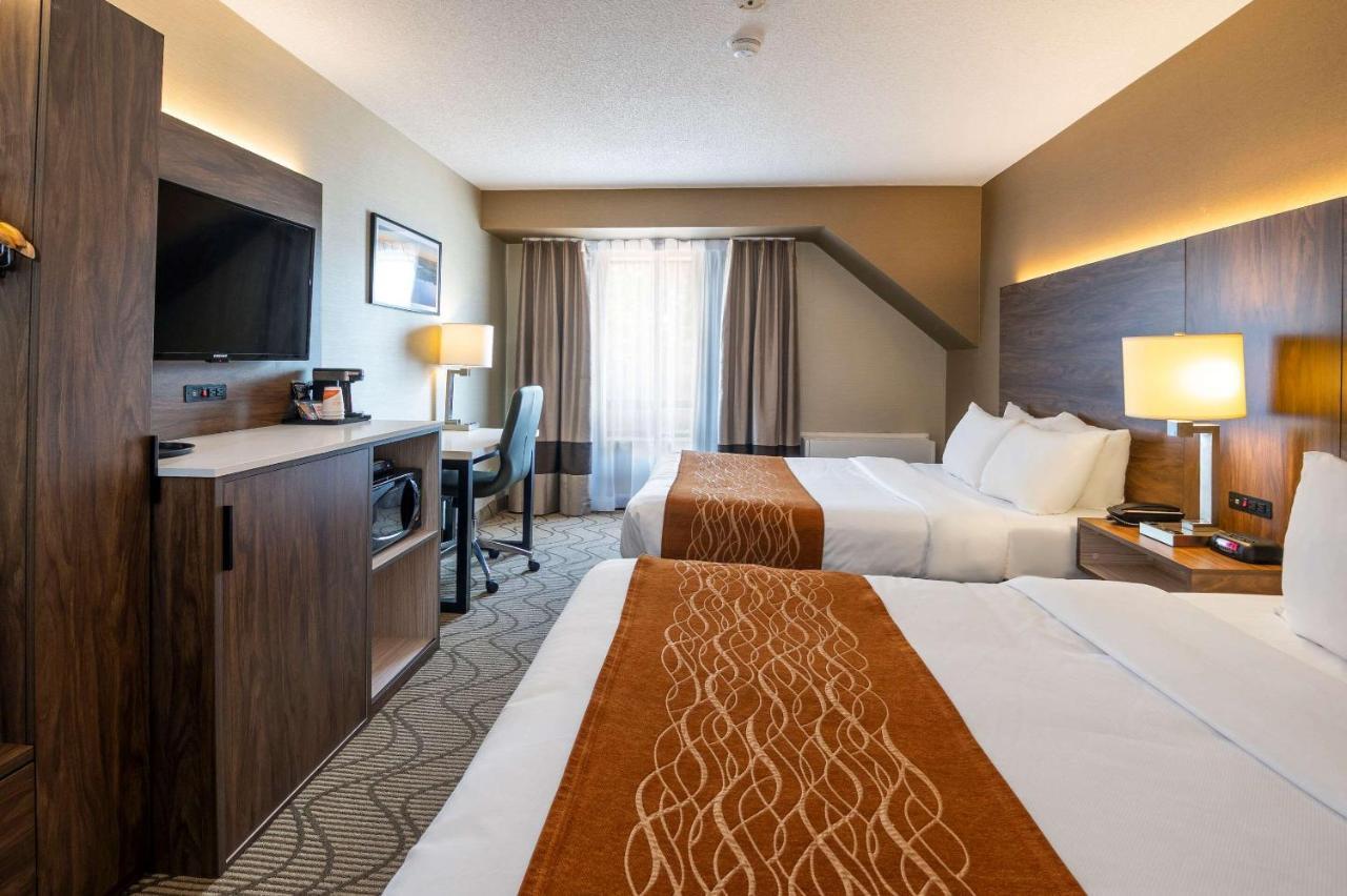 Comfort Inn Lakeshore Север Бэй Экстерьер фото