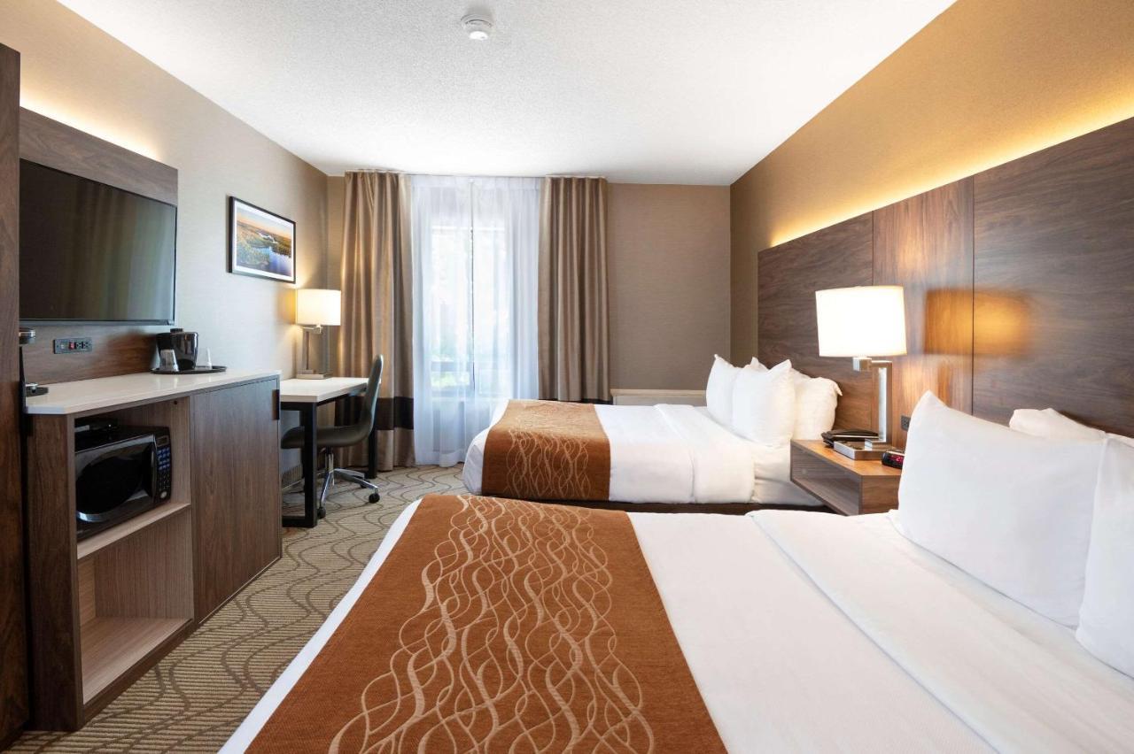 Comfort Inn Lakeshore Север Бэй Экстерьер фото