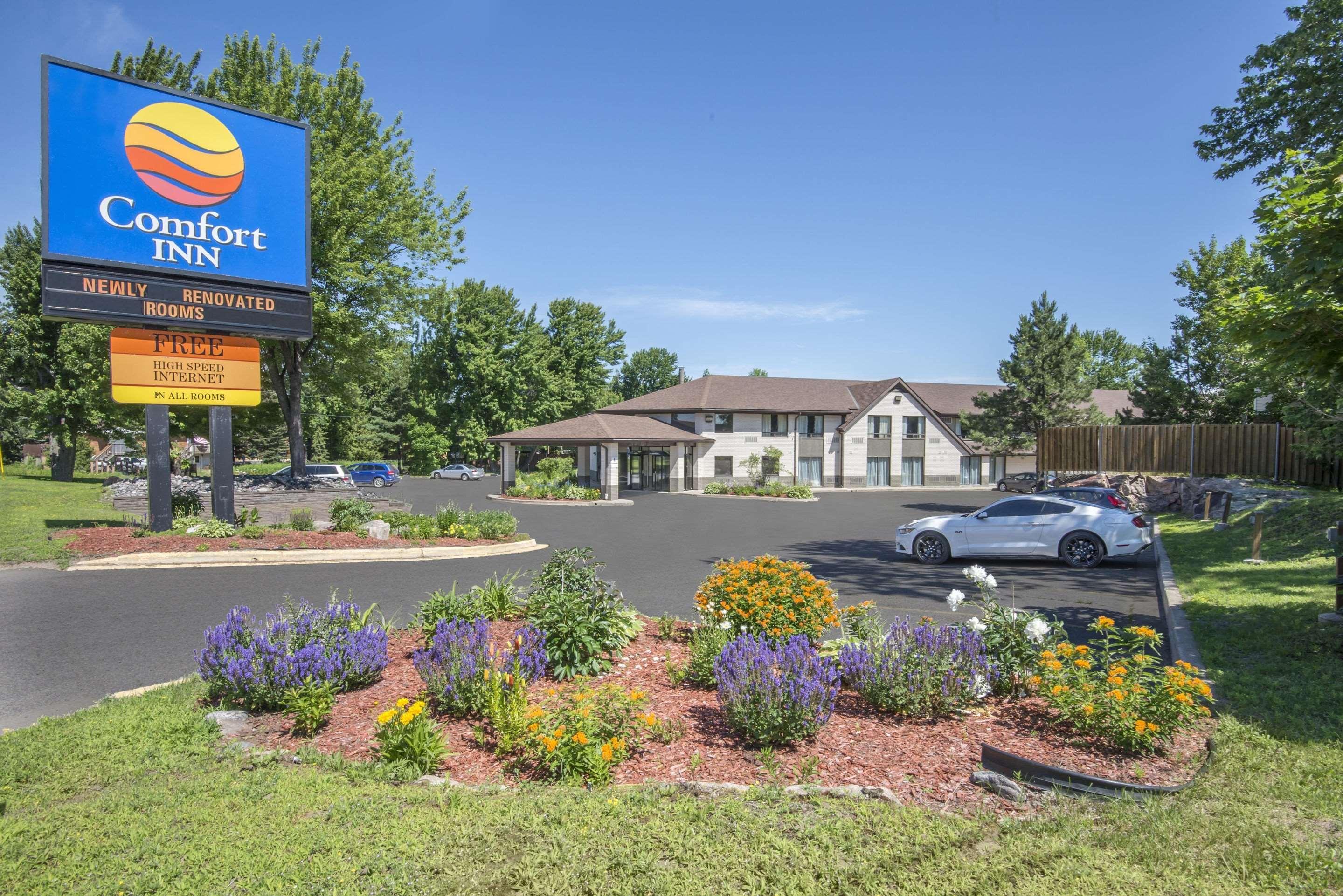 Comfort Inn Lakeshore Север Бэй Экстерьер фото