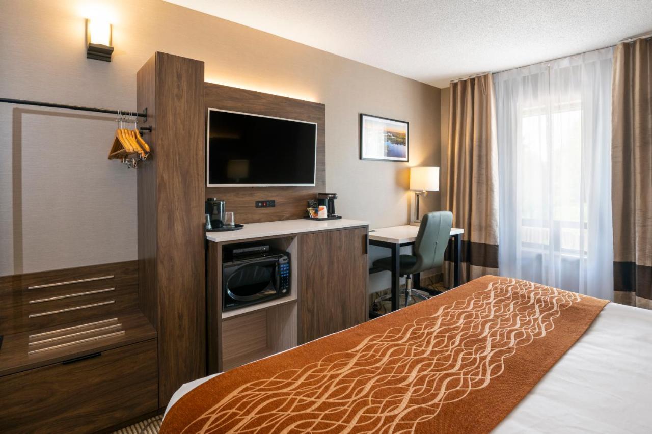 Comfort Inn Lakeshore Север Бэй Экстерьер фото