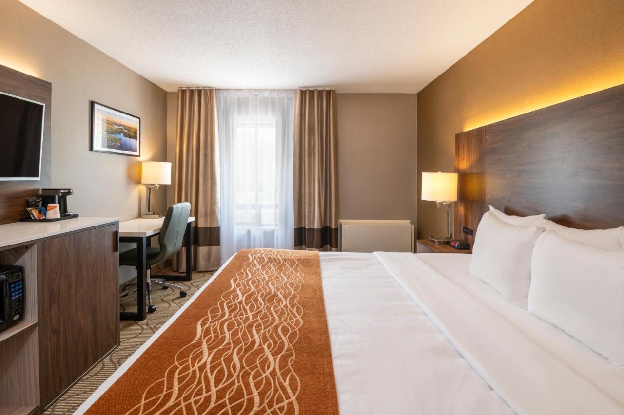 Comfort Inn Lakeshore Север Бэй Экстерьер фото